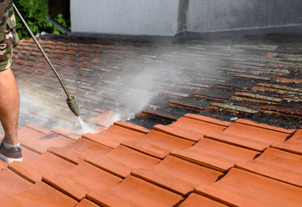 Best Exterior Home Cleaning  in Asotin, WA